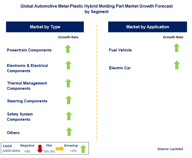 Automotive Metal-Plastic Hybrid Molding Part Market by Segment